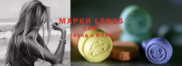 PSILOCYBIN Весьегонск