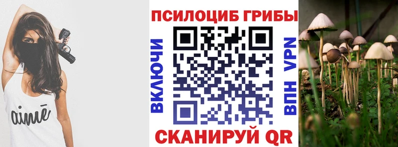 Псилоцибиновые грибы GOLDEN TEACHER  закладка  Кольчугино 