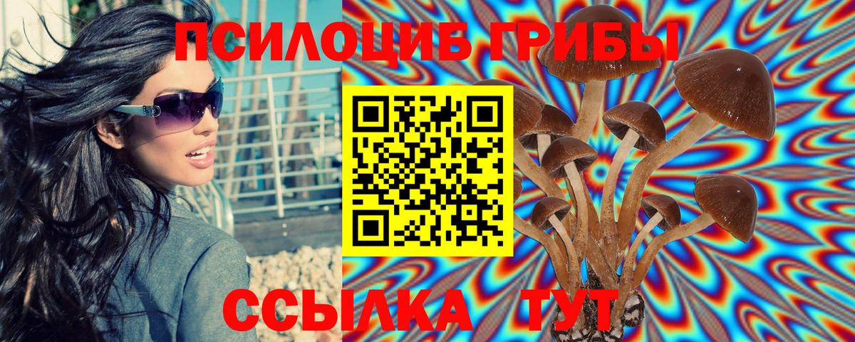 Галлюциногенные грибы Magic Shrooms Кольчугино